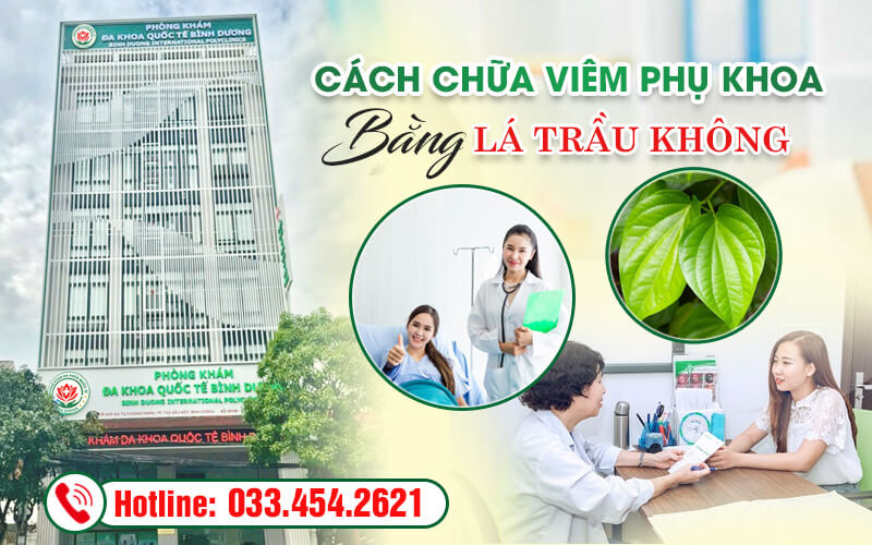Cách chữa viêm phụ khoa bằng lá trầu không