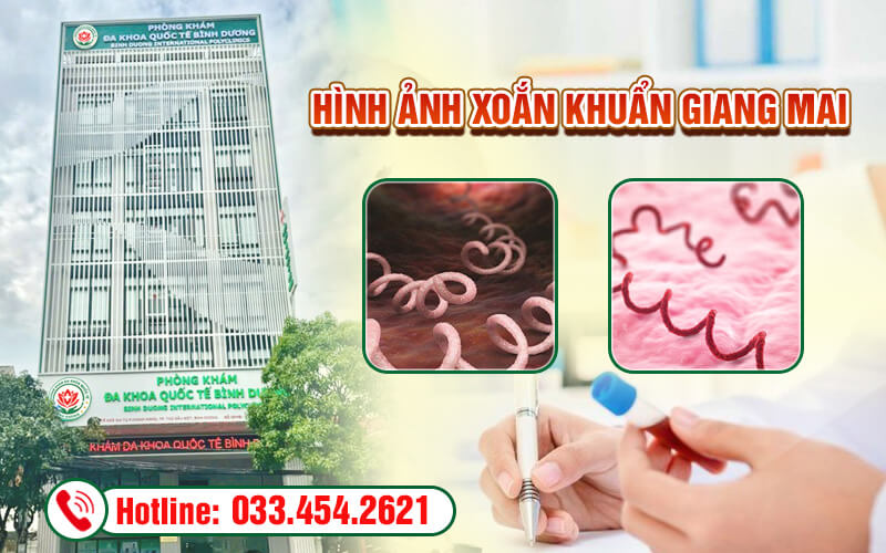 Hình ảnh xoắn khuẩn giang mai