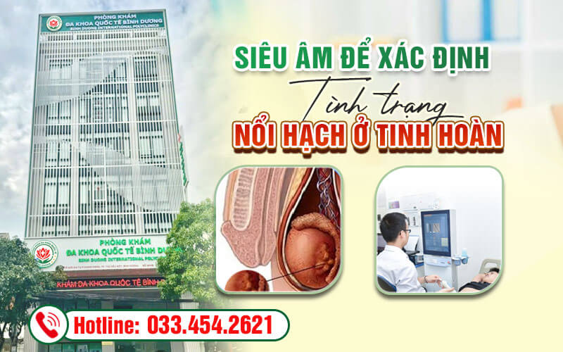 Siêu âm để xác định tình trạng nổi hạch ở tinh hoàn