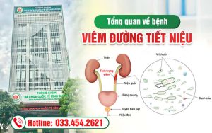 Tổng quan về bệnh viêm đường tiết niệu