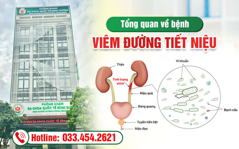 Tổng quan về bệnh viêm đường tiết niệu