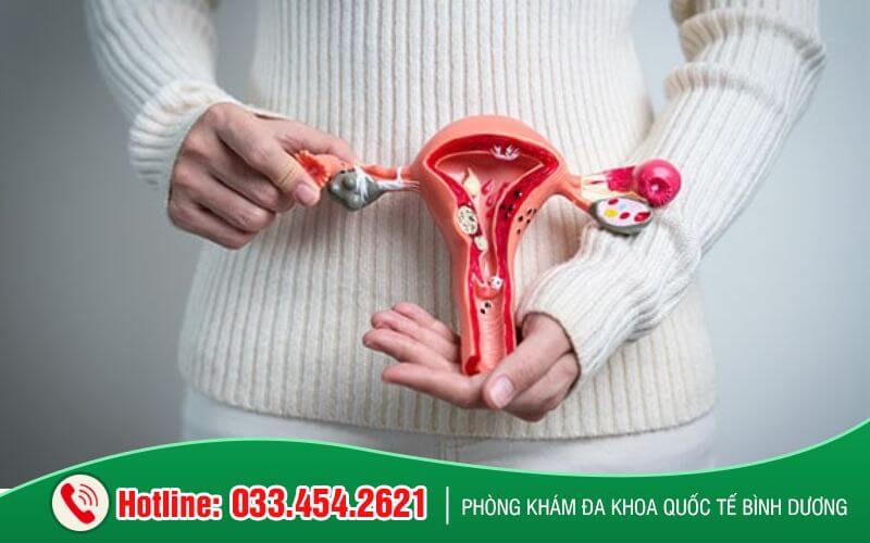 Dinh dưỡng giúp buồng trứng và tử cung khỏe mạnh