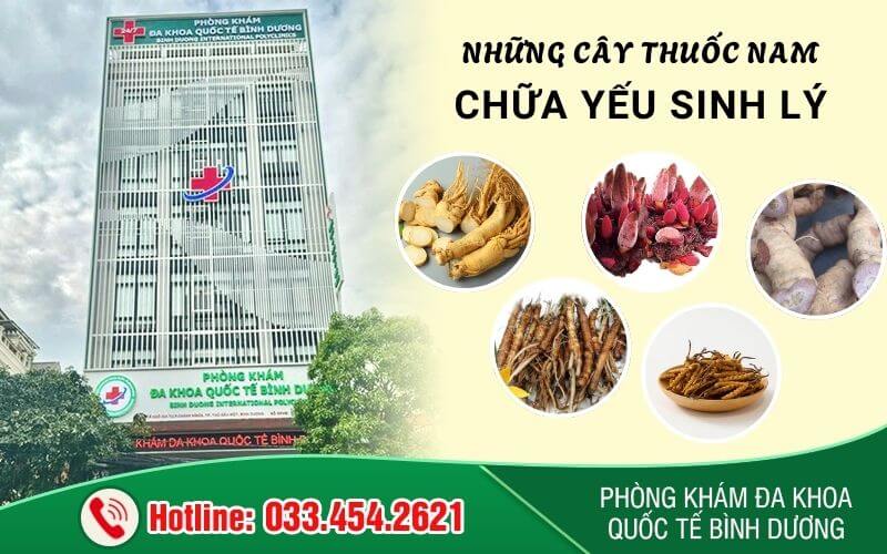 Lựa chọn những cây thuốc nam chữa yếu sinh lý