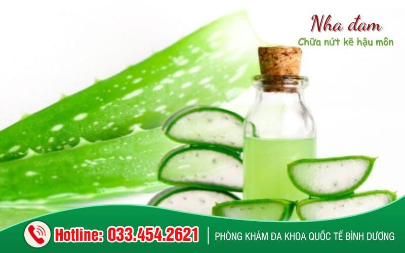 Chữa nứt kẽ hậu môn tại nhà bằng lô hội