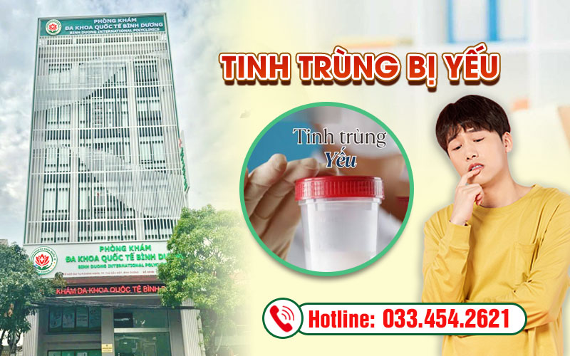 Tinh trùng yếu là nguyên nhân chính gây vô sinh hiếm muộn ở nam giới